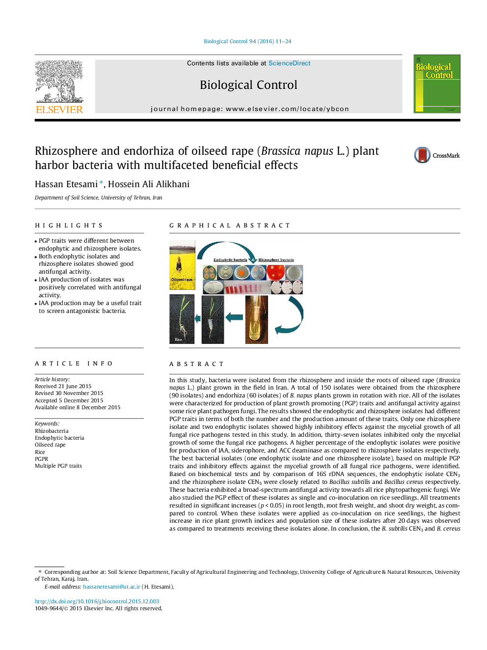 Rhizosphere and endorhiza of oilseed rape (Brassica napus L.) plant harbor bacteria with multifaceted beneficial effects