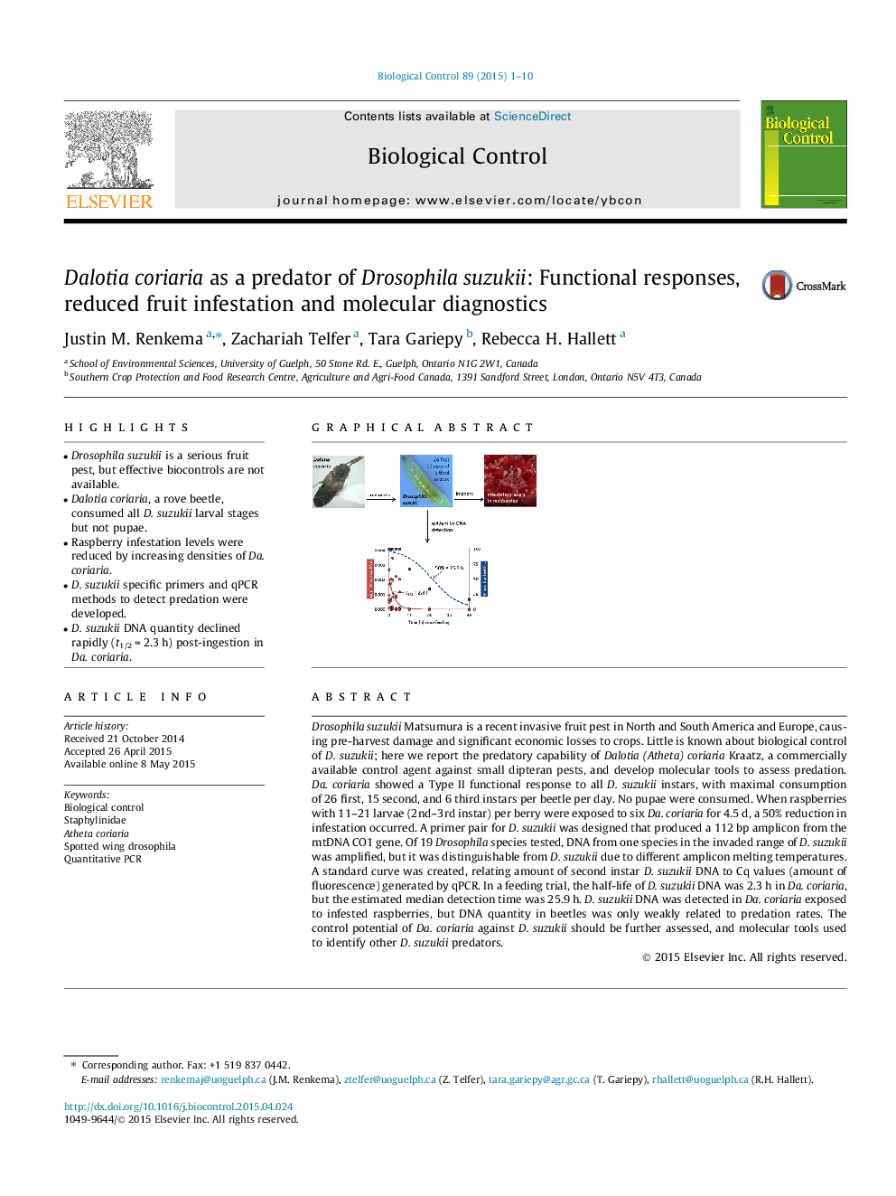 Dalotia coriaria as a predator of Drosophila suzukii: Functional responses, reduced fruit infestation and molecular diagnostics