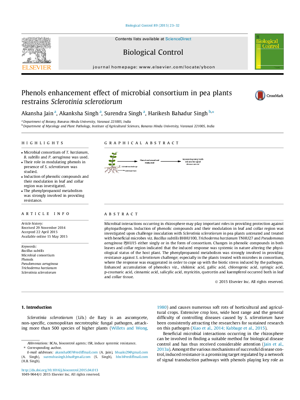 Phenols enhancement effect of microbial consortium in pea plants restrains Sclerotinia sclerotiorum