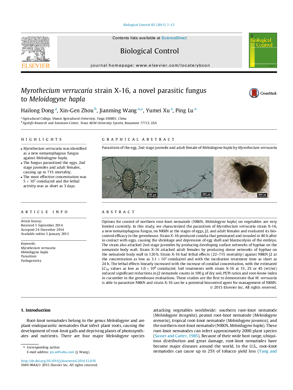 Myrothecium verrucaria strain X-16, a novel parasitic fungus to Meloidogyne hapla