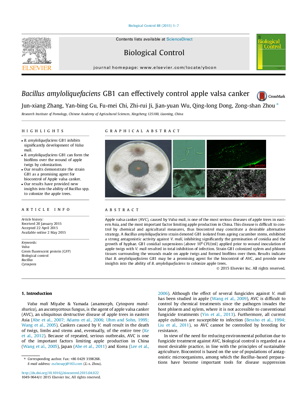 Bacillus amyloliquefaciens GB1 can effectively control apple valsa canker