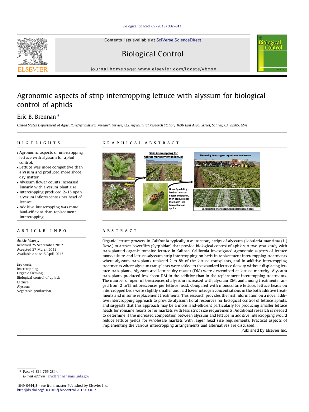 Agronomic aspects of strip intercropping lettuce with alyssum for biological control of aphids