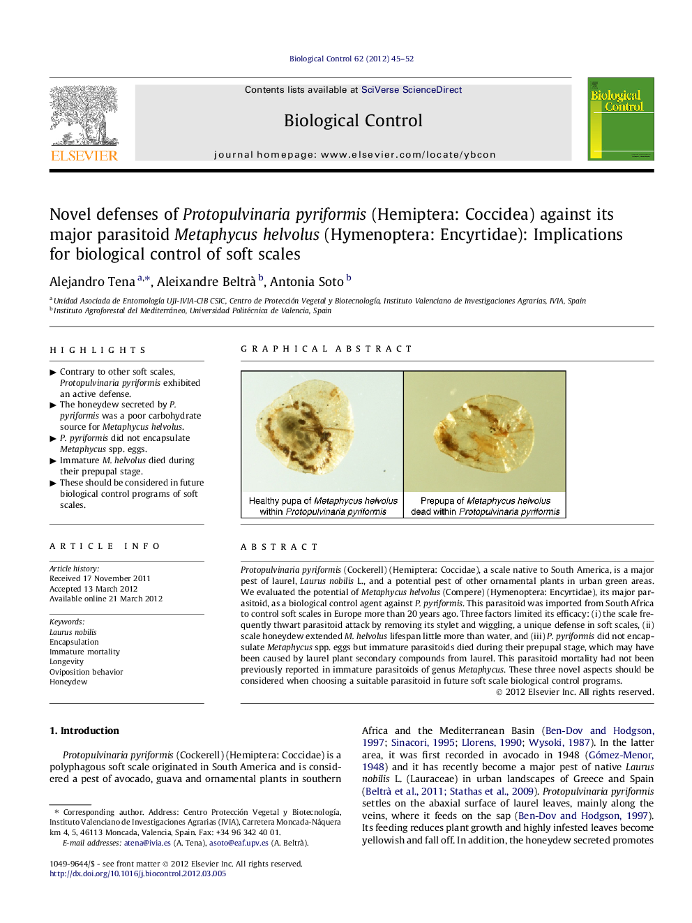 Novel defenses of Protopulvinaria pyriformis (Hemiptera: Coccidea) against its major parasitoid Metaphycus helvolus (Hymenoptera: Encyrtidae): Implications for biological control of soft scales