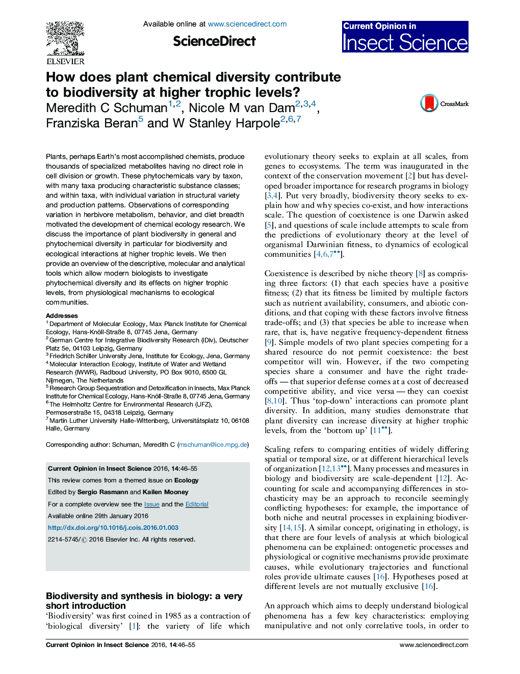 How does plant chemical diversity contribute to biodiversity at higher trophic levels?