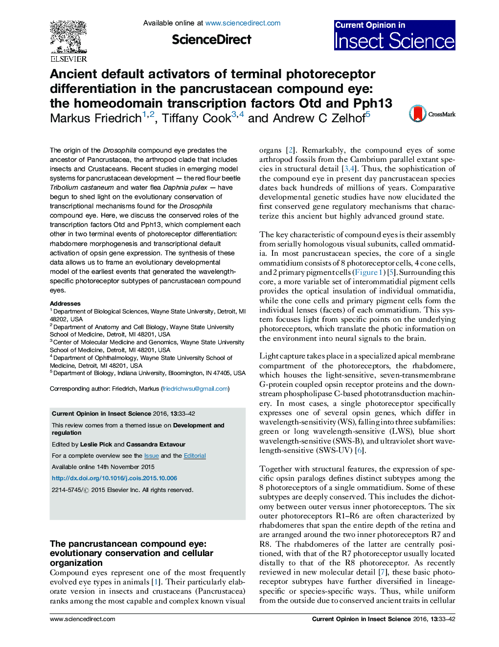 Ancient default activators of terminal photoreceptor differentiation in the pancrustacean compound eye: the homeodomain transcription factors Otd and Pph13