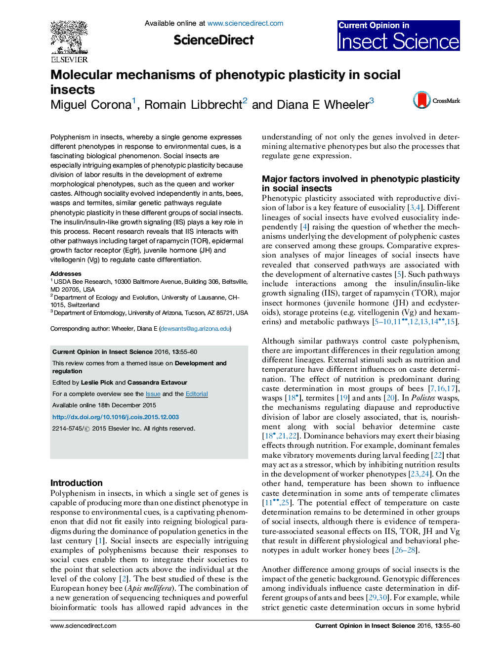 Molecular mechanisms of phenotypic plasticity in social insects