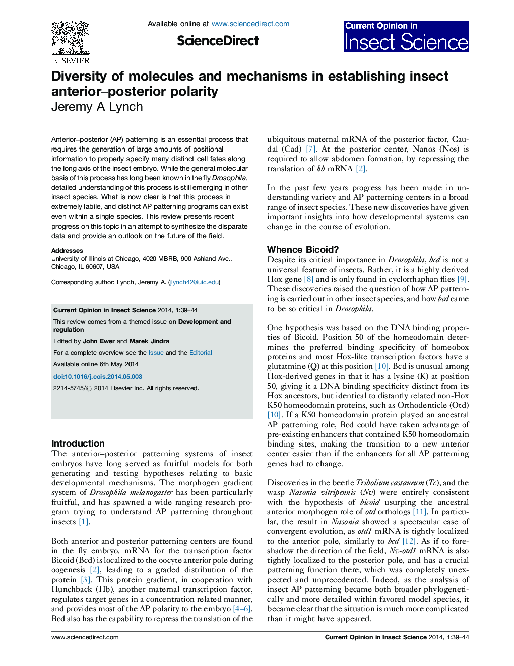 Diversity of molecules and mechanisms in establishing insect anterior–posterior polarity