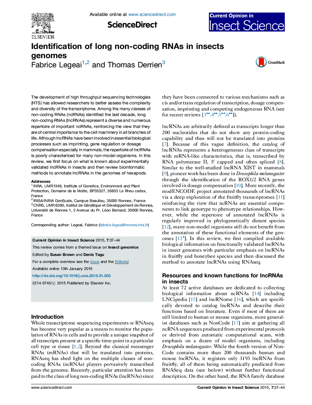 Identification of long non-coding RNAs in insects genomes