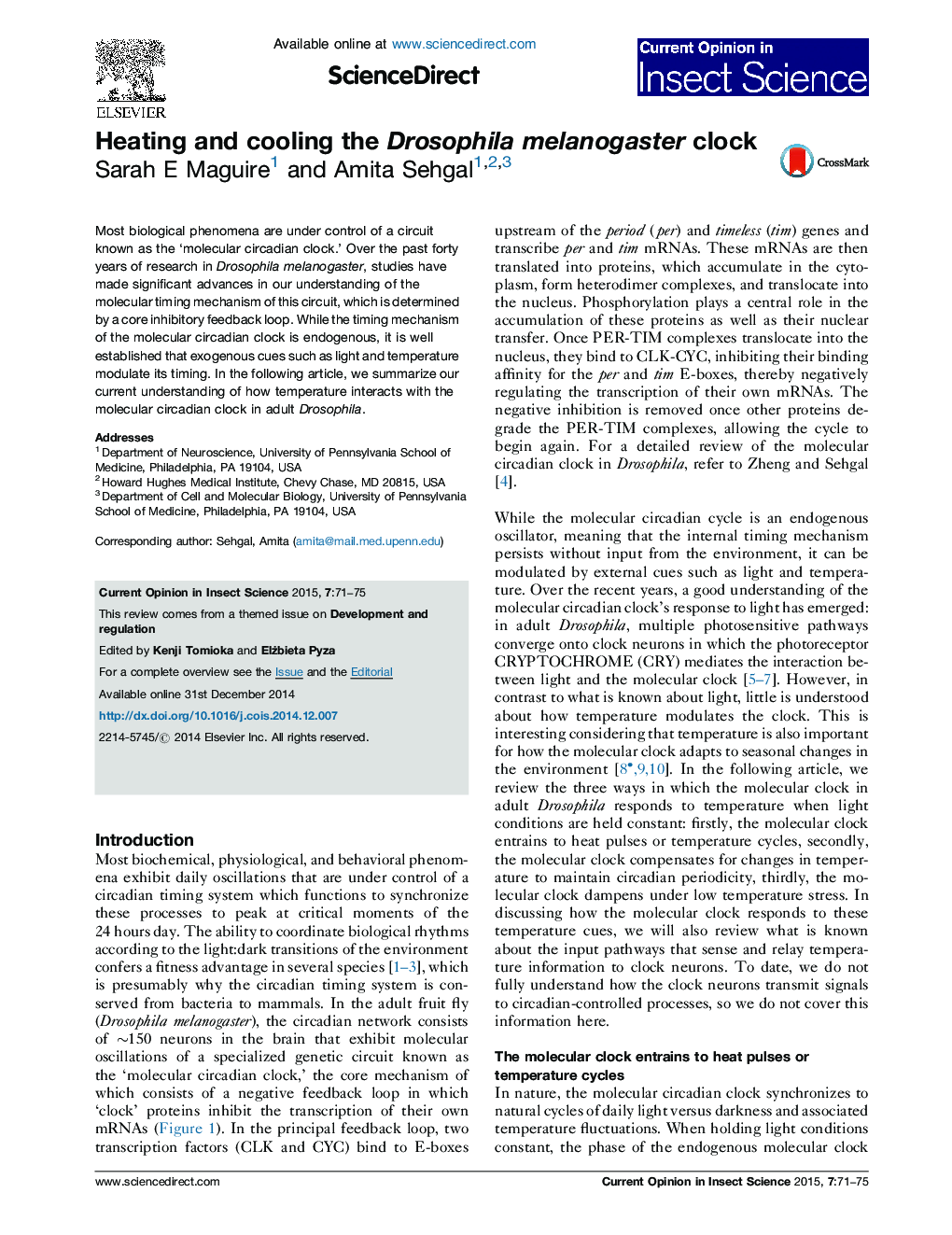 Heating and cooling the Drosophila melanogaster clock