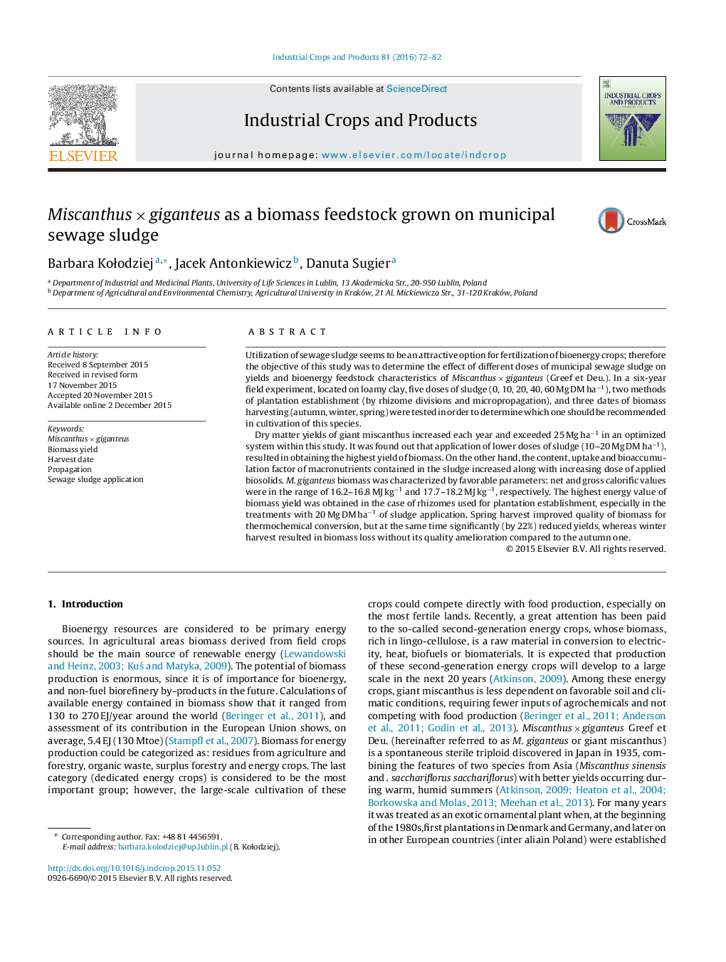 Miscanthus × giganteus as a biomass feedstock grown on municipal sewage sludge