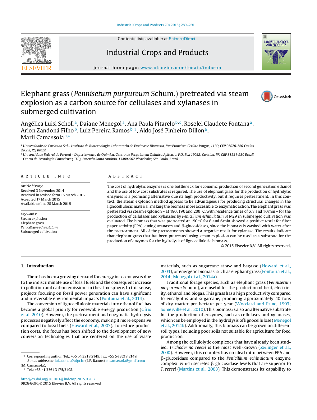 Elephant grass (Pennisetum purpureum Schum.) pretreated via steam explosion as a carbon source for cellulases and xylanases in submerged cultivation