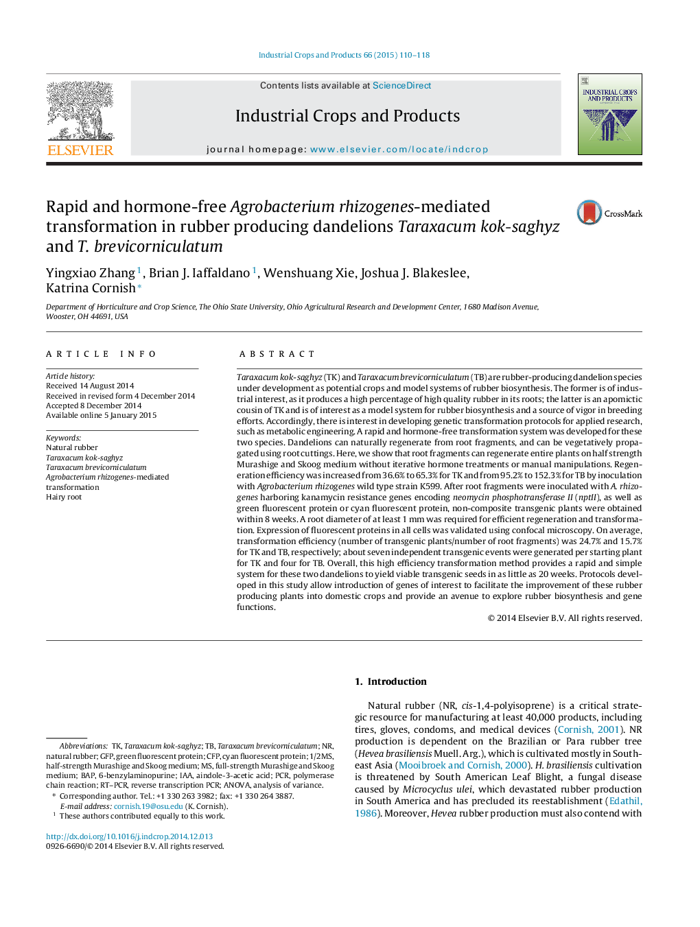 Rapid and hormone-free Agrobacterium rhizogenes-mediated transformation in rubber producing dandelions Taraxacum kok-saghyz and T. brevicorniculatum