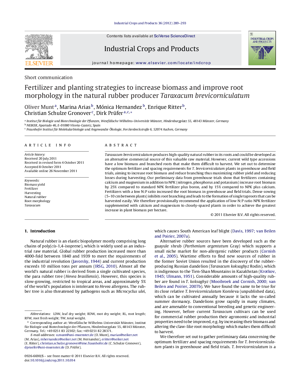 Fertilizer and planting strategies to increase biomass and improve root morphology in the natural rubber producer Taraxacum brevicorniculatum