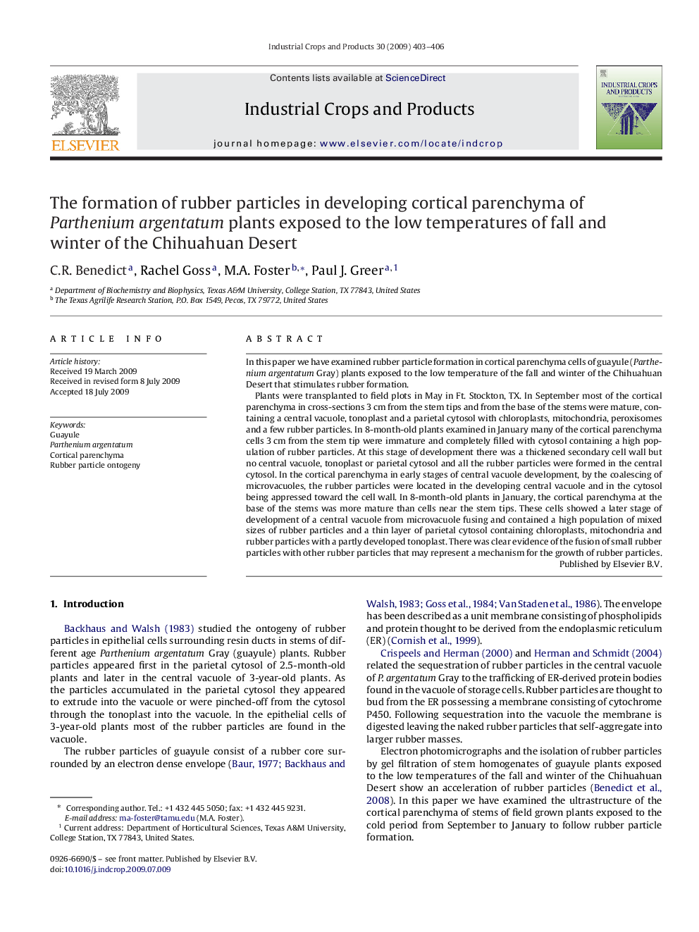 The formation of rubber particles in developing cortical parenchyma of Parthenium argentatum plants exposed to the low temperatures of fall and winter of the Chihuahuan Desert