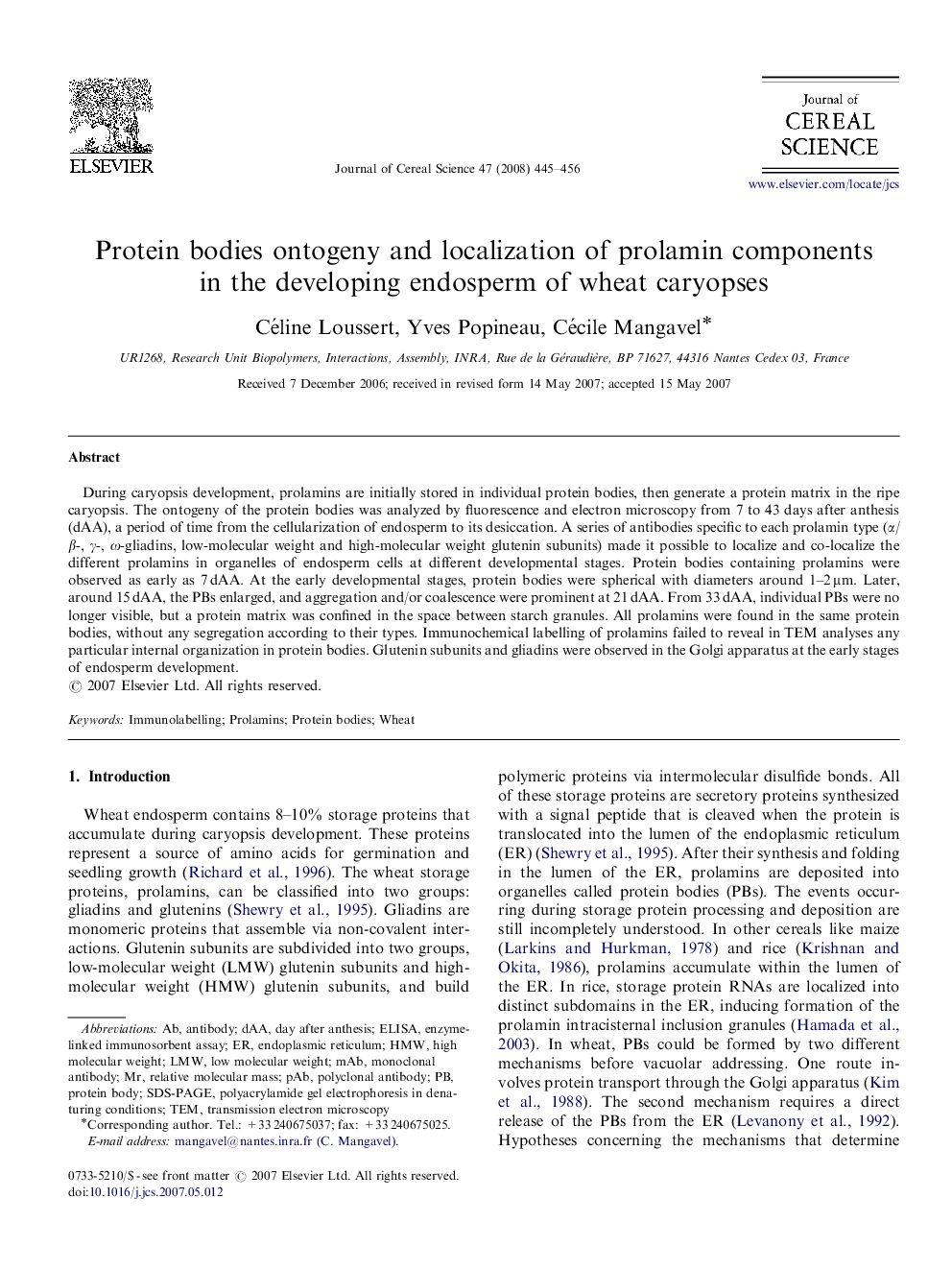 Protein bodies ontogeny and localization of prolamin components in the developing endosperm of wheat caryopses