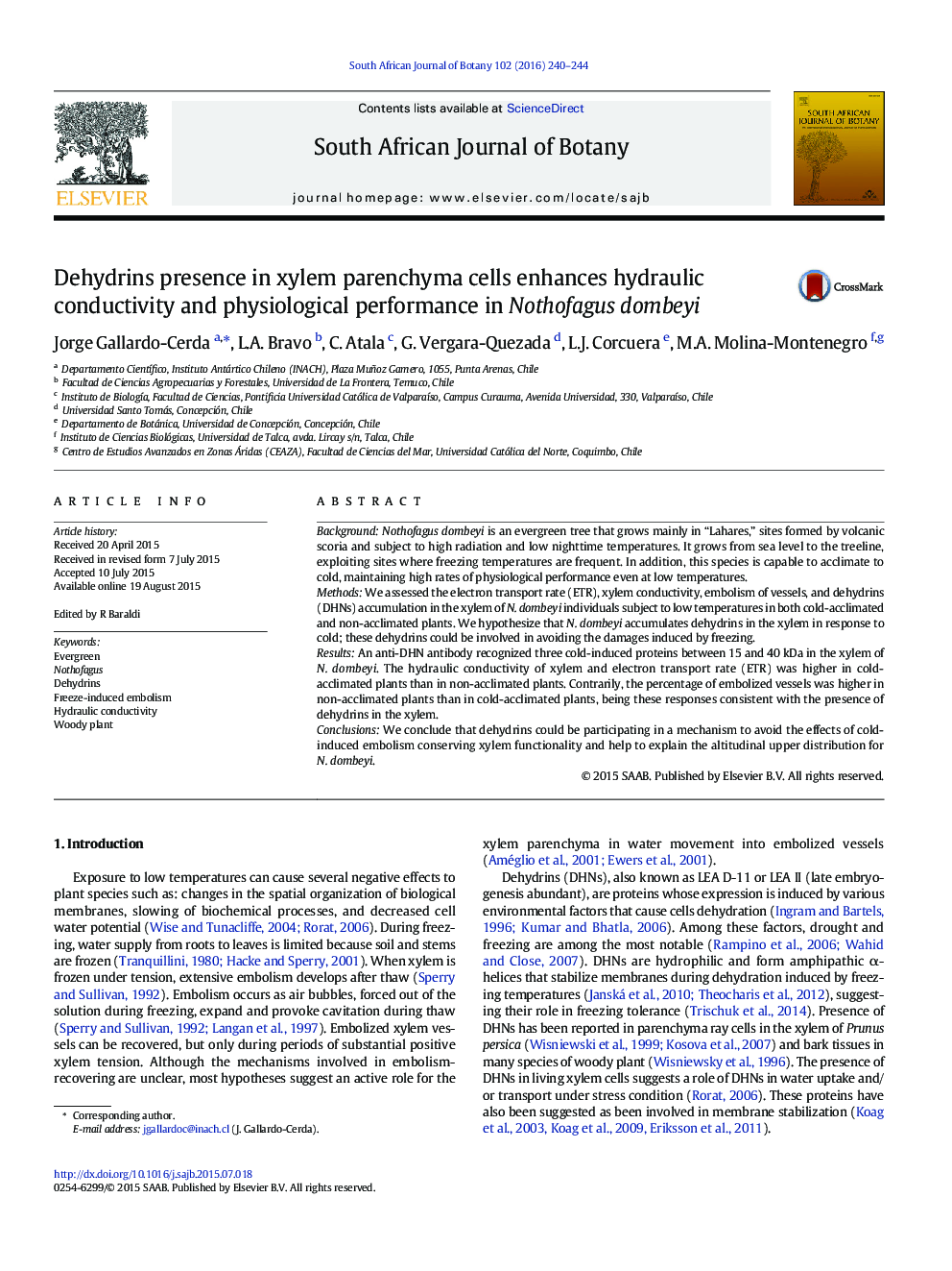 Dehydrins presence in xylem parenchyma cells enhances hydraulic conductivity and physiological performance in Nothofagus dombeyi