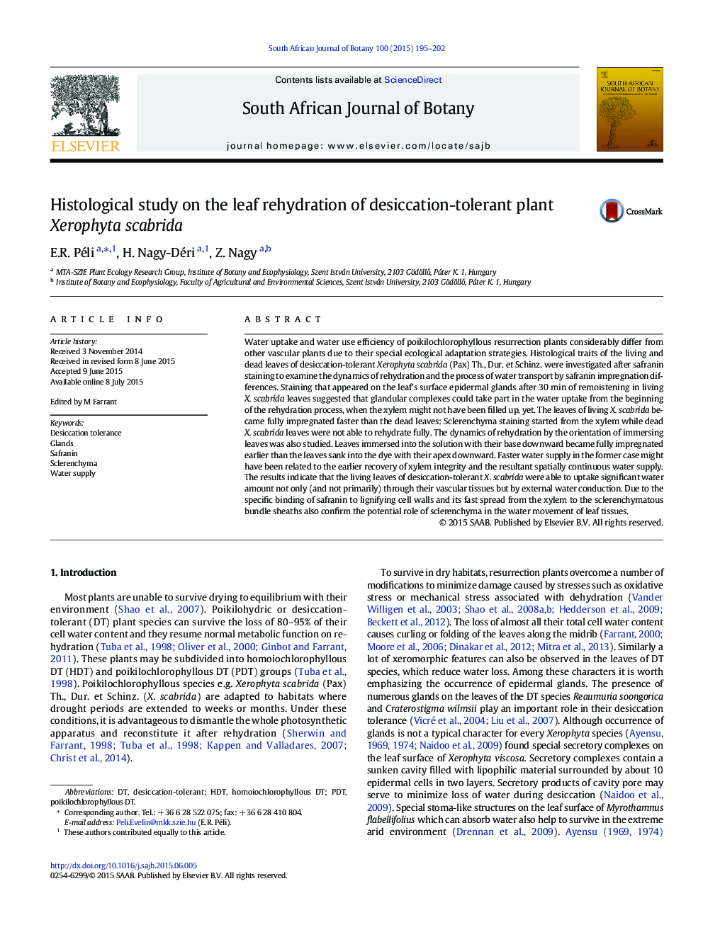 Histological study on the leaf rehydration of desiccation-tolerant plant Xerophyta scabrida