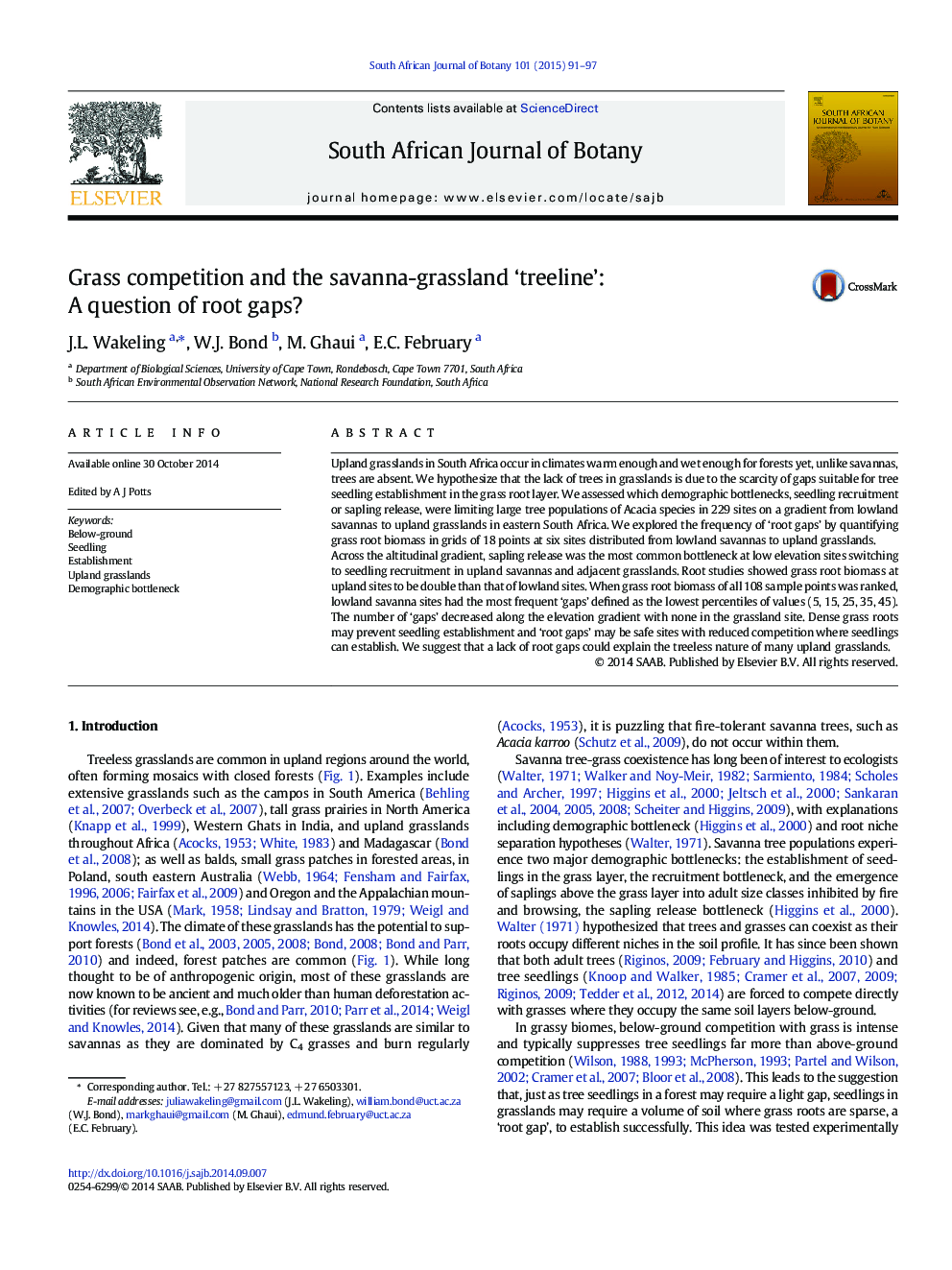 Grass competition and the savanna-grassland ‘treeline’: A question of root gaps?