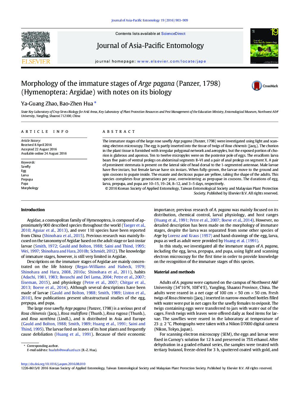 Morphology of the immature stages of Arge pagana (Panzer, 1798) (Hymenoptera: Argidae) with notes on its biology