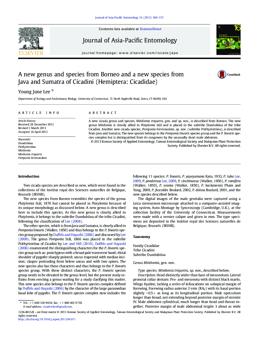 A new genus and species from Borneo and a new species from Java and Sumatra of Cicadini (Hemiptera: Cicadidae)