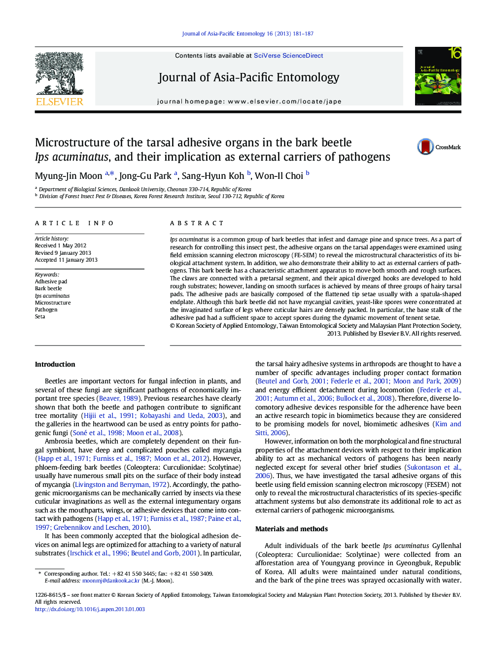 Microstructure of the tarsal adhesive organs in the bark beetle Ips acuminatus, and their implication as external carriers of pathogens