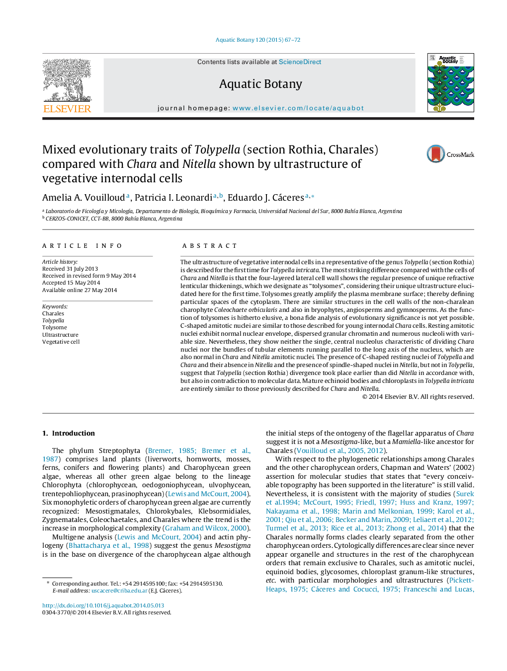 Mixed evolutionary traits of Tolypella (section Rothia, Charales) compared with Chara and Nitella shown by ultrastructure of vegetative internodal cells