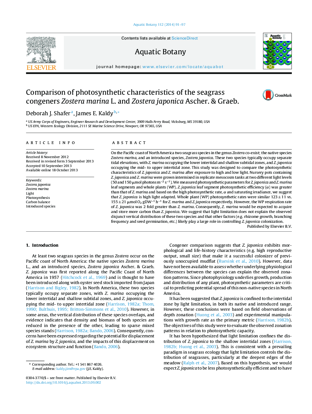 Comparison of photosynthetic characteristics of the seagrass congeners Zostera marina L. and Zostera japonica Ascher. & Graeb.