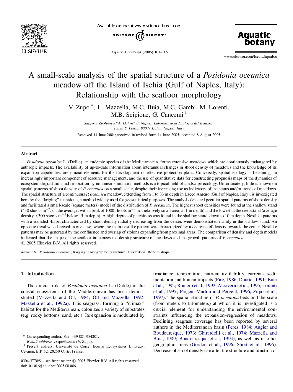 A small-scale analysis of the spatial structure of a Posidonia oceanica meadow off the Island of Ischia (Gulf of Naples, Italy): Relationship with the seafloor morphology