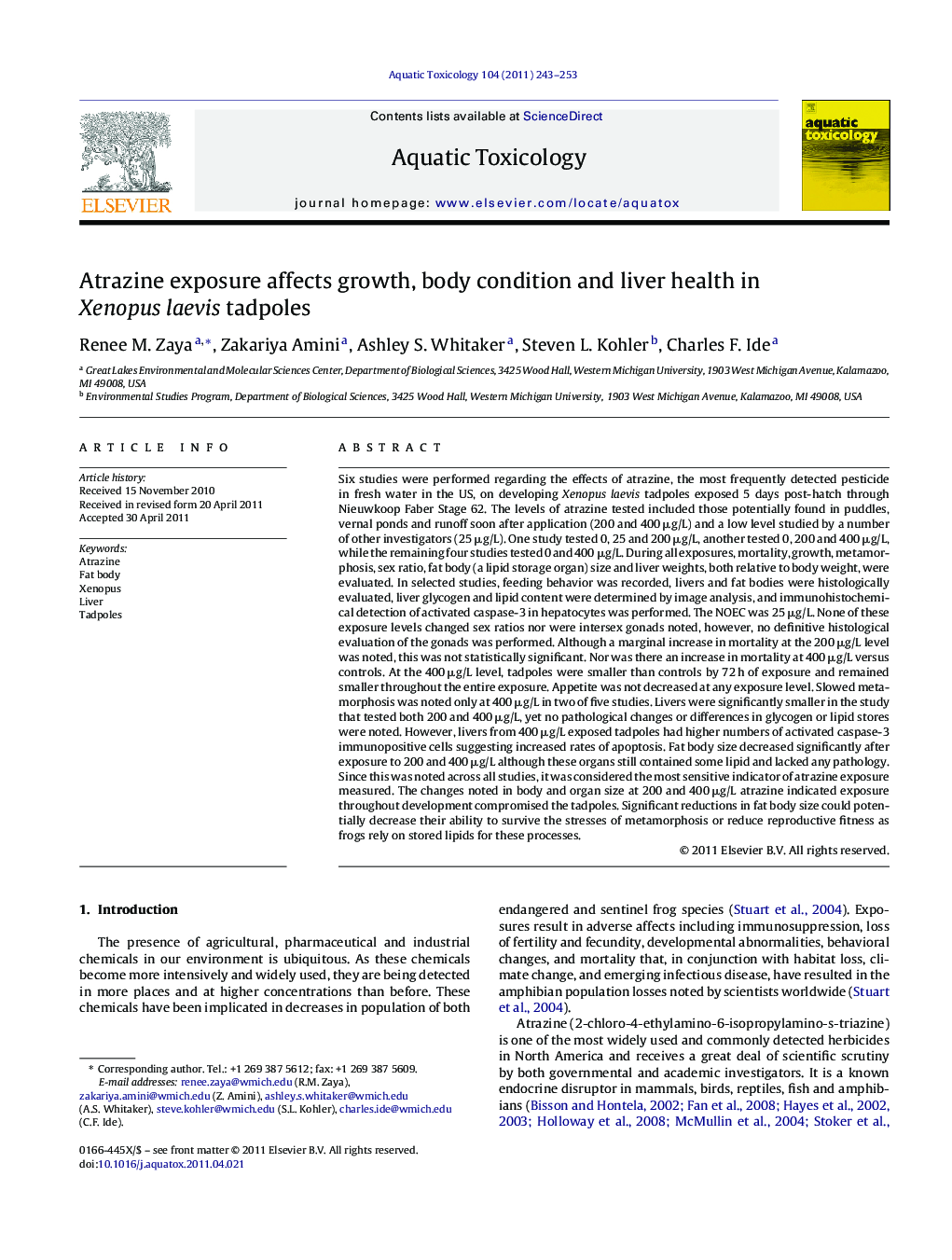 Atrazine exposure affects growth, body condition and liver health in Xenopus laevis tadpoles