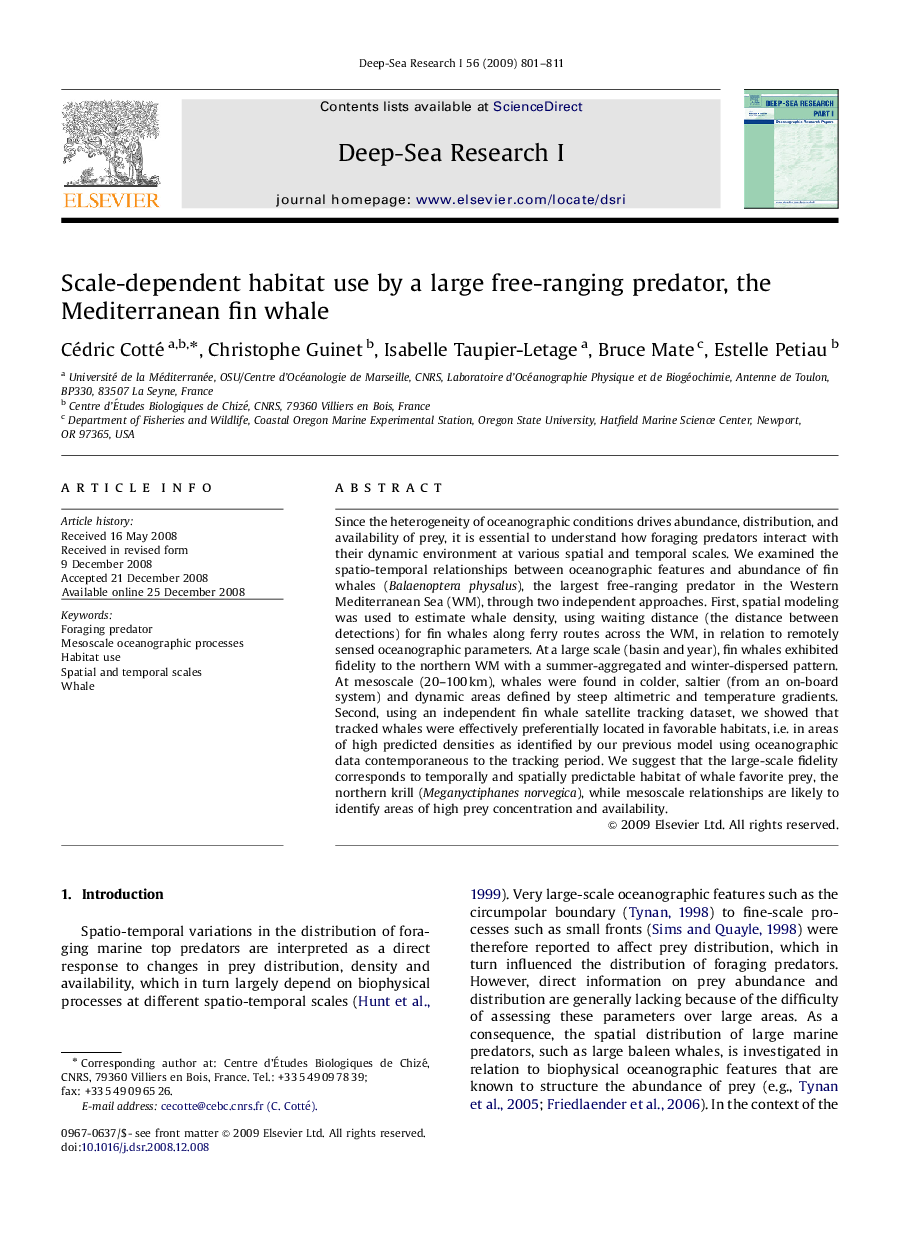 Scale-dependent habitat use by a large free-ranging predator, the Mediterranean fin whale