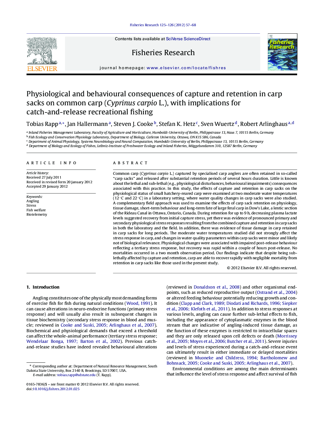 Physiological and behavioural consequences of capture and retention in carp sacks on common carp (Cyprinus carpio L.), with implications for catch-and-release recreational fishing