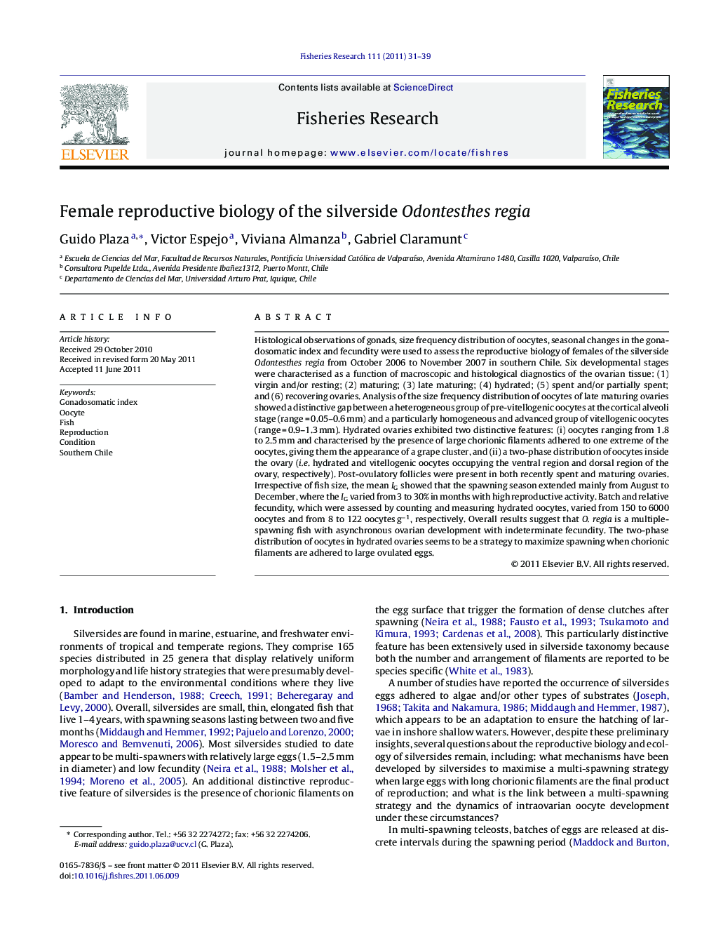 Female reproductive biology of the silverside Odontesthes regia