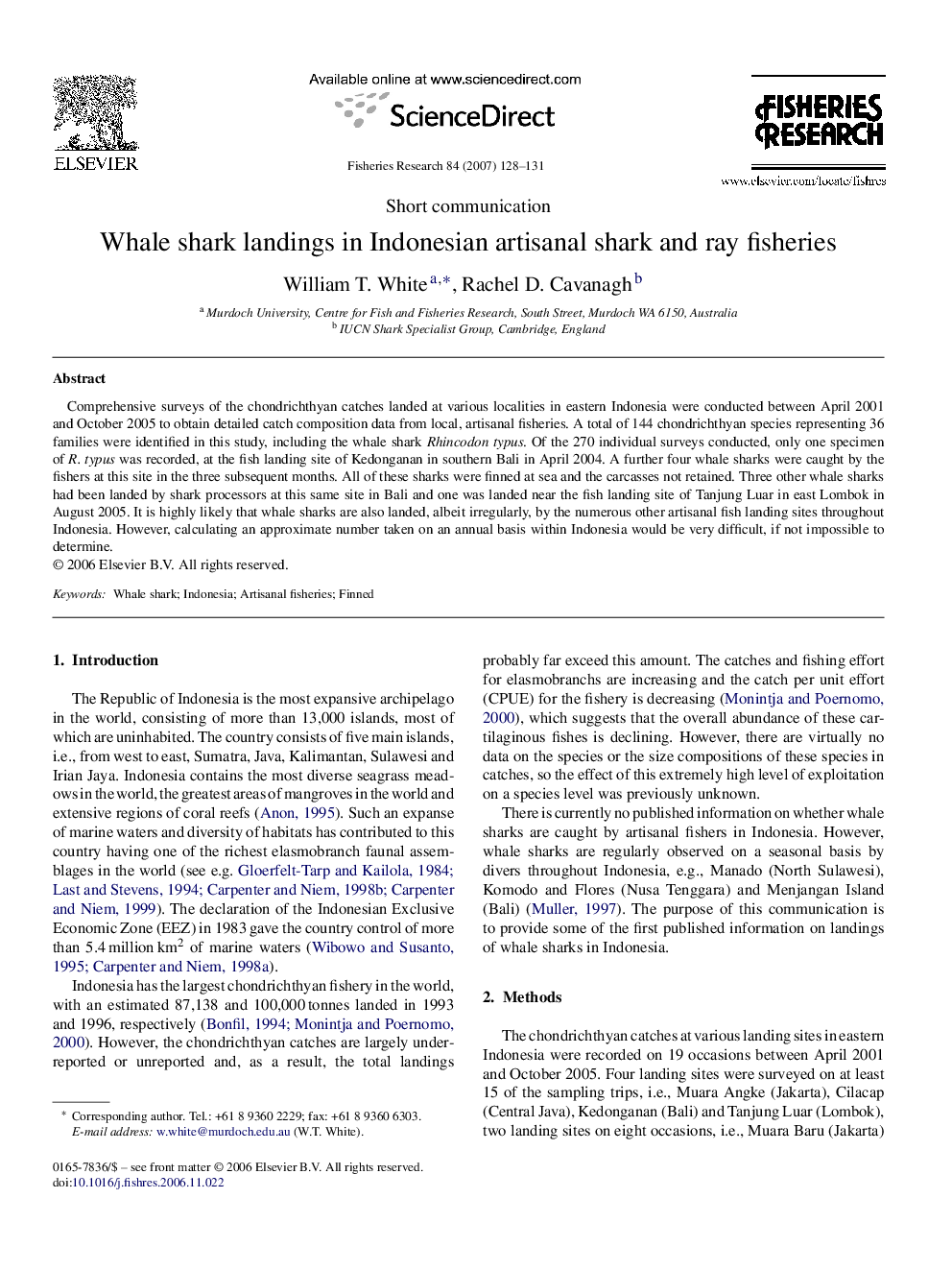 Whale shark landings in Indonesian artisanal shark and ray fisheries