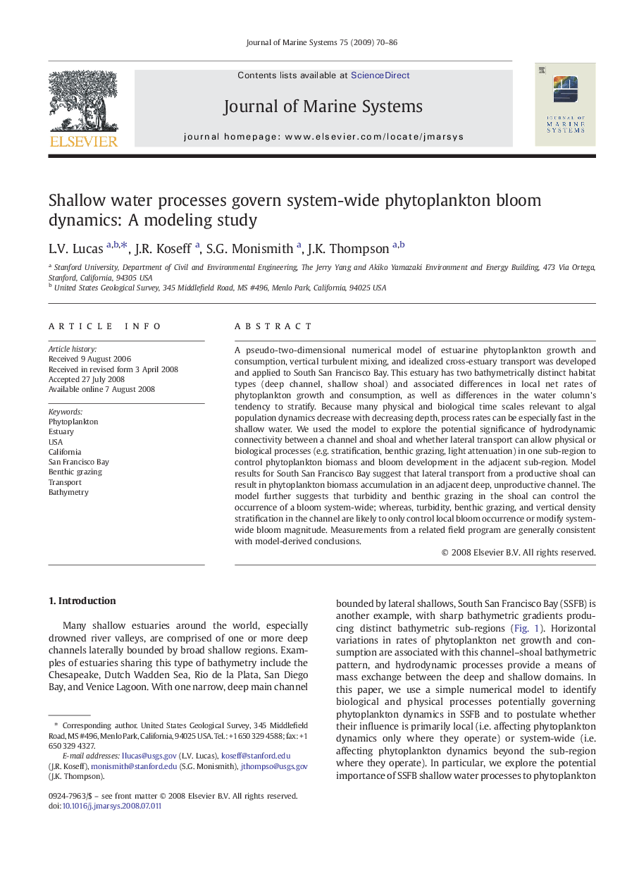 Shallow water processes govern system-wide phytoplankton bloom dynamics: A modeling study