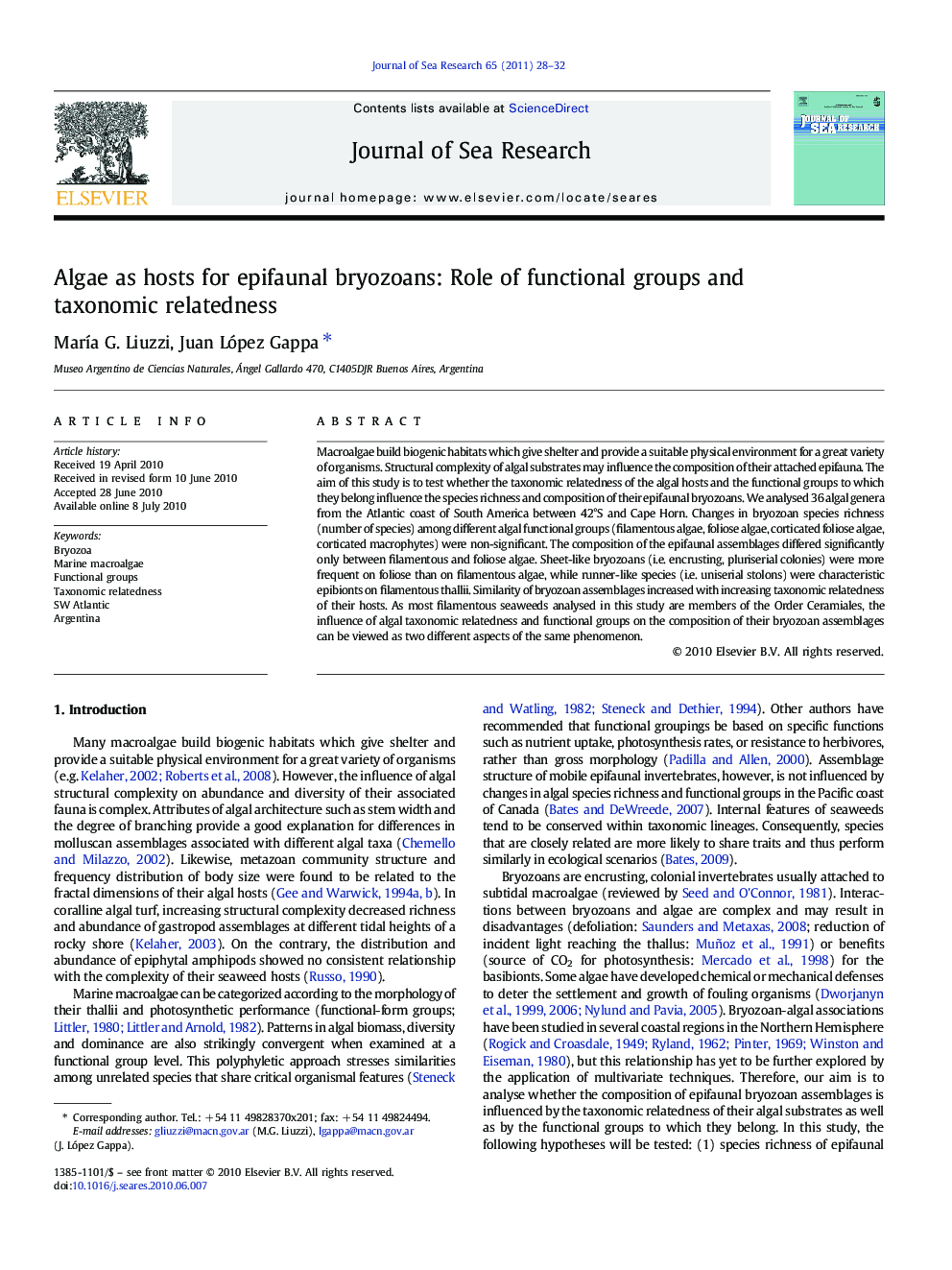 Algae as hosts for epifaunal bryozoans: Role of functional groups and taxonomic relatedness