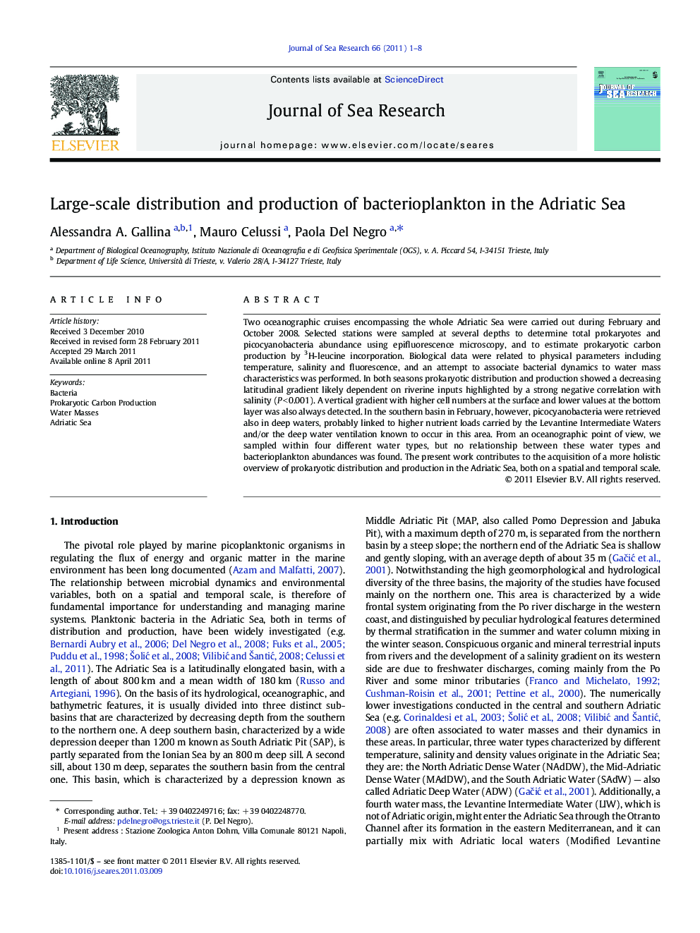 Large-scale distribution and production of bacterioplankton in the Adriatic Sea