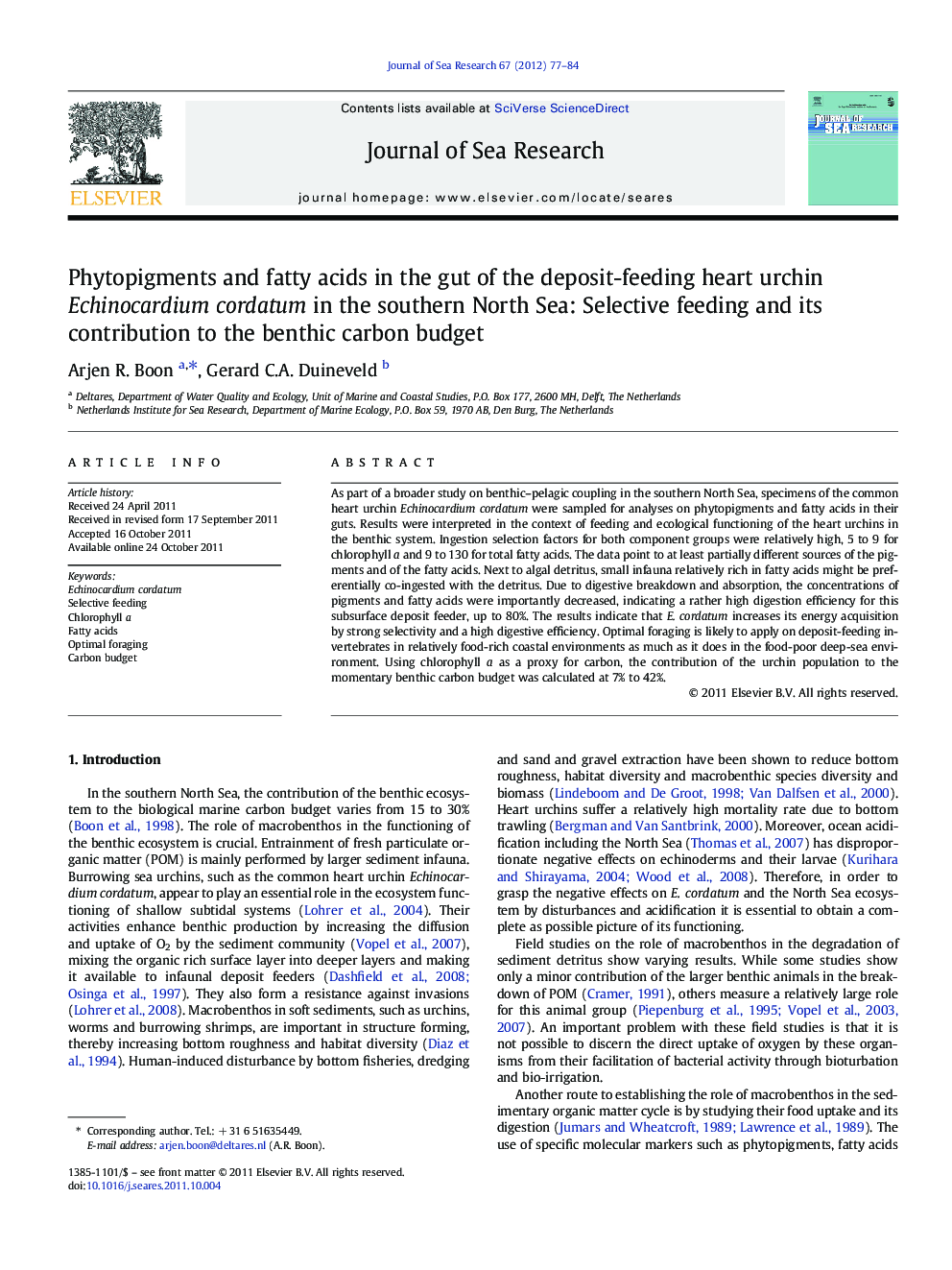 Phytopigments and fatty acids in the gut of the deposit-feeding heart urchin Echinocardium cordatum in the southern North Sea: Selective feeding and its contribution to the benthic carbon budget