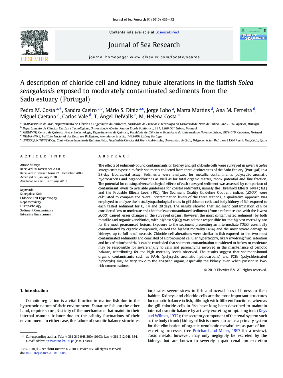 A description of chloride cell and kidney tubule alterations in the flatfish Solea senegalensis exposed to moderately contaminated sediments from the Sado estuary (Portugal)