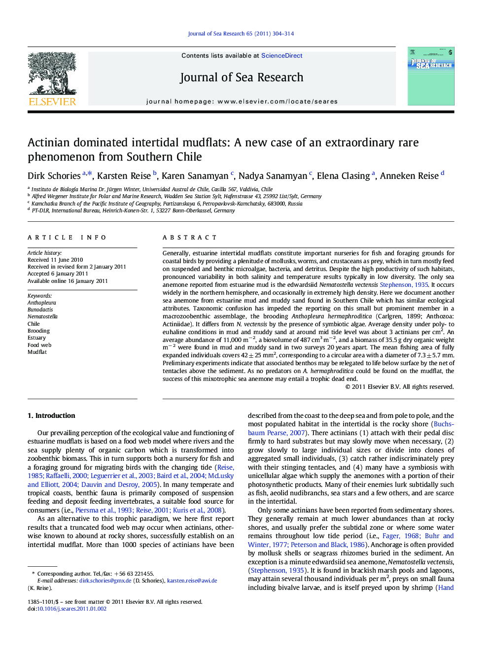 Actinian dominated intertidal mudflats: A new case of an extraordinary rare phenomenon from Southern Chile