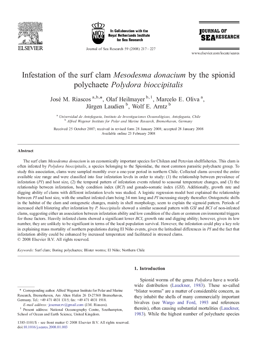 Infestation of the surf clam Mesodesma donacium by the spionid polychaete Polydora bioccipitalis