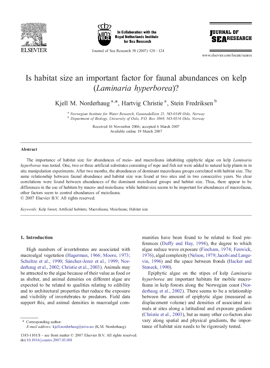 Is habitat size an important factor for faunal abundances on kelp (Laminaria hyperborea)?