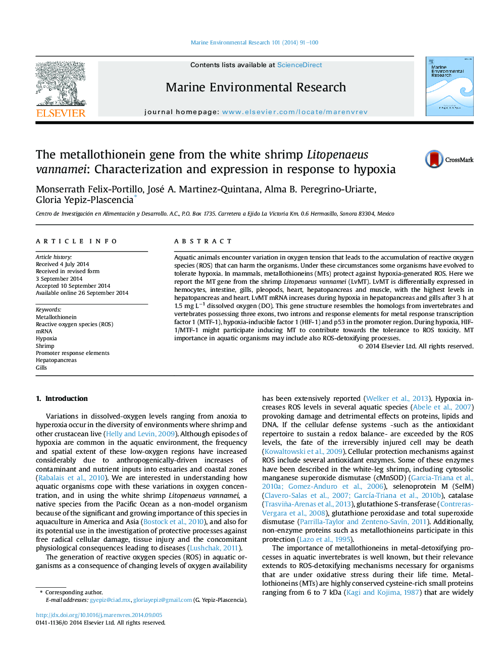 The metallothionein gene from the white shrimp Litopenaeus vannamei: Characterization and expression in response to hypoxia