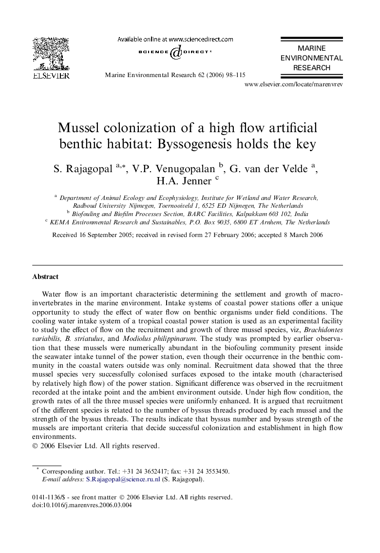 Mussel colonization of a high flow artificial benthic habitat: Byssogenesis holds the key