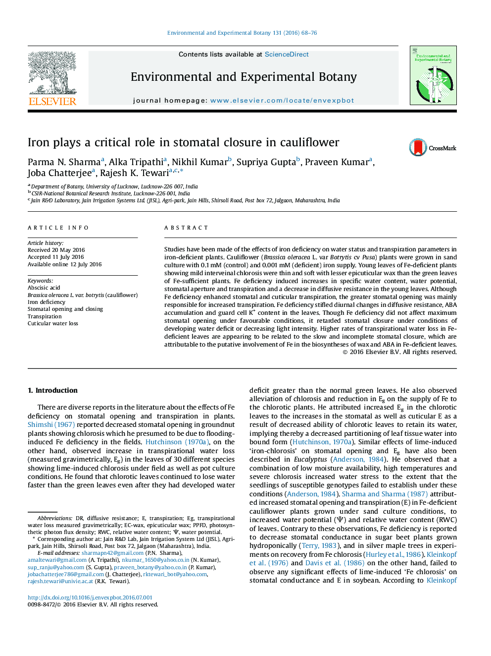 Iron plays a critical role in stomatal closure in cauliflower