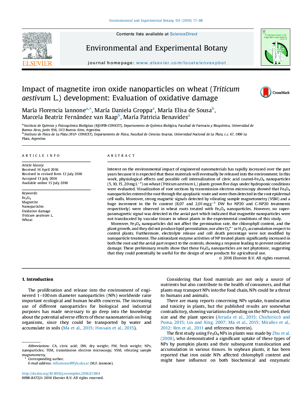 Impact of magnetite iron oxide nanoparticles on wheat (Triticum aestivum L.) development: Evaluation of oxidative damage