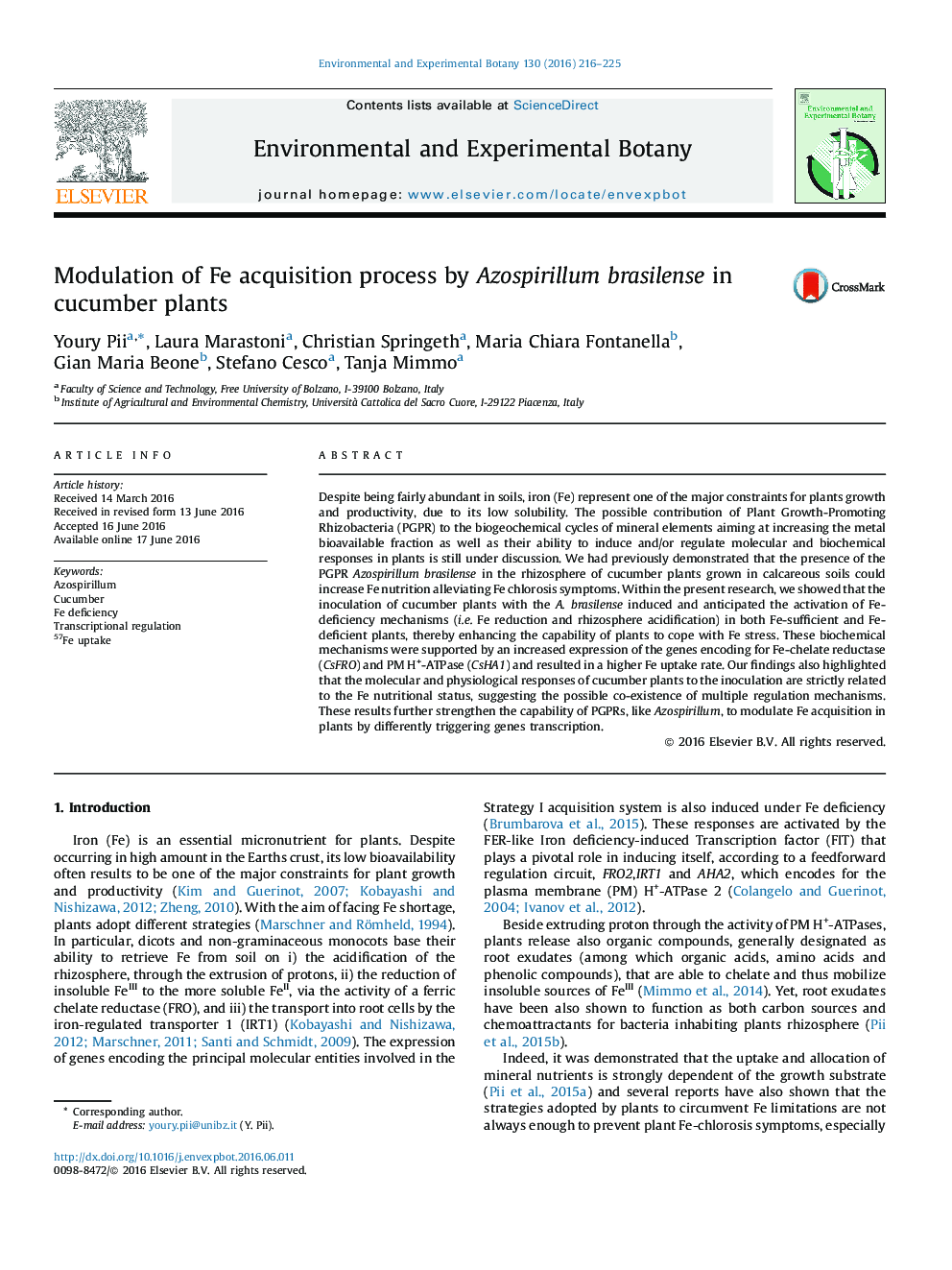 Modulation of Fe acquisition process by Azospirillum brasilense in cucumber plants