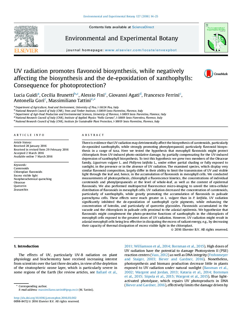 UV radiation promotes flavonoid biosynthesis, while negatively affecting the biosynthesis and the de-epoxidation of xanthophylls: Consequence for photoprotection?