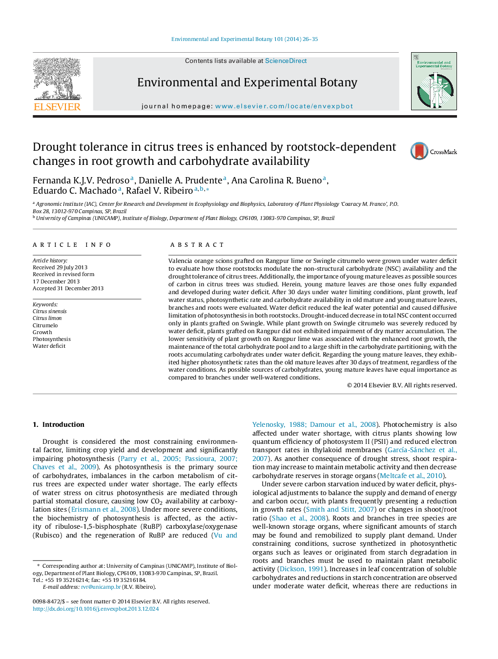 Drought tolerance in citrus trees is enhanced by rootstock-dependent changes in root growth and carbohydrate availability