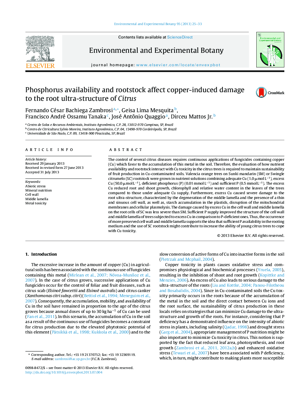 Phosphorus availability and rootstock affect copper-induced damage to the root ultra-structure of Citrus