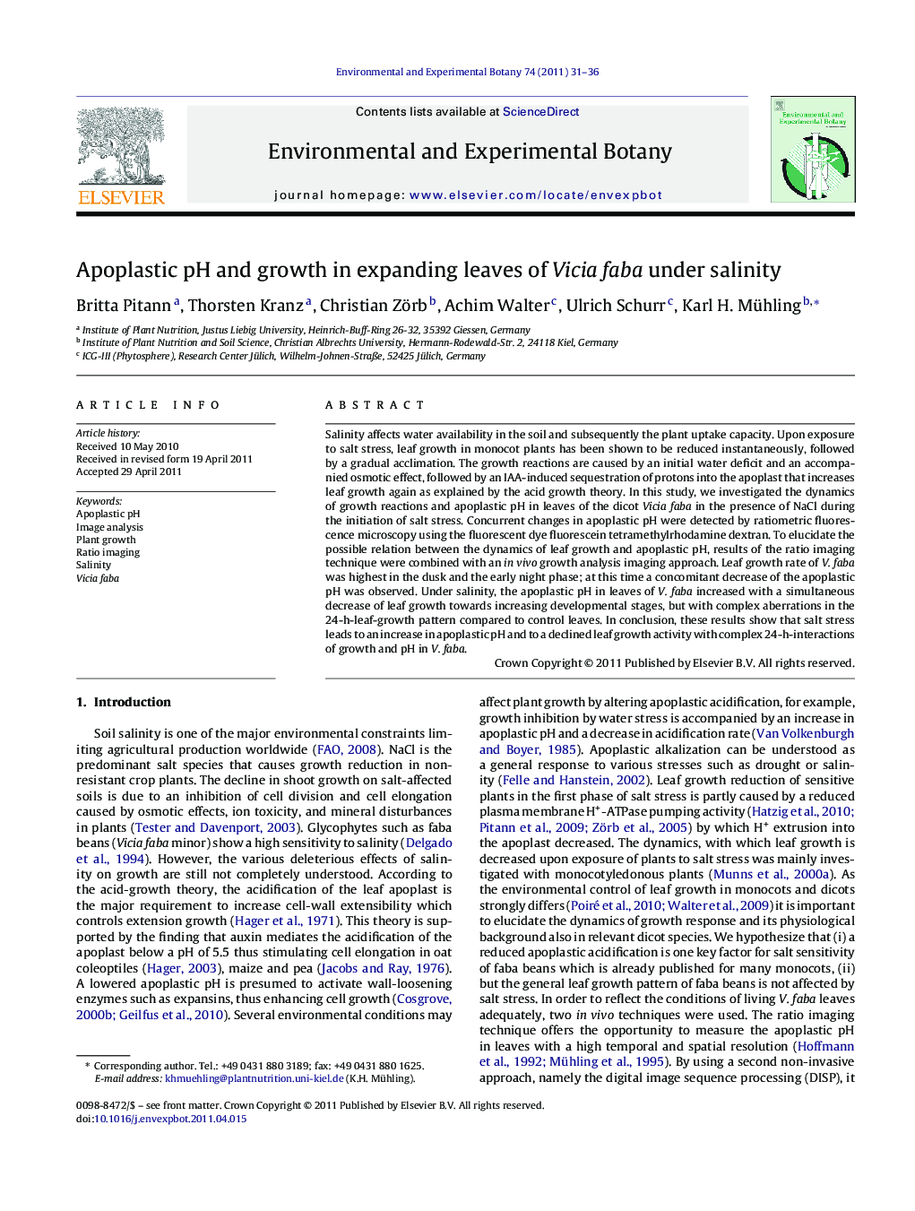 Apoplastic pH and growth in expanding leaves of Vicia faba under salinity